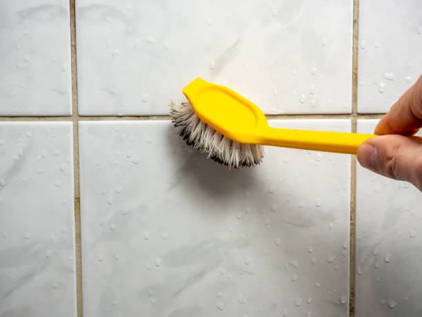 Best Mold Removal Company Near Me  in Pleasantville, NY
