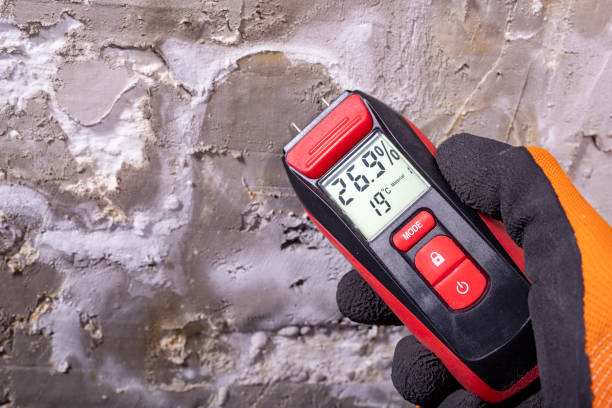 Best Residential Mold Removal  in Pleasantville, NY